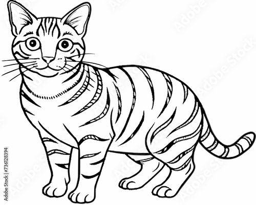 cat feline kitty kitten pussycat cartoon pretty cute vector illustration perfect beautiful amazing tabby tomcat