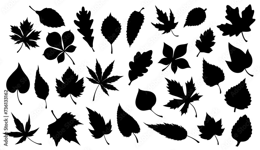 Leaf of plant or tree black silhouettes. Vector foliage of maple, oak and chestnut, birch, willow and sycamore, poplar, ash and aspen, nature, flora, ecology and greenery design - obrazy, fototapety, plakaty 