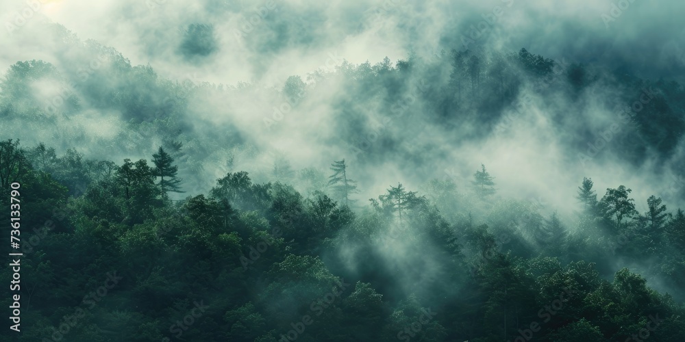 Fototapeta premium Mysterious smoky misty atmosphere in the forest Texture background for ads and banners Generative AI
