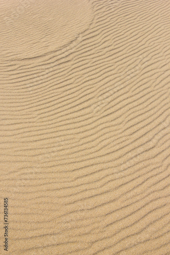 冬の鳥取砂丘とその紋様 鳥取県 鳥取砂丘