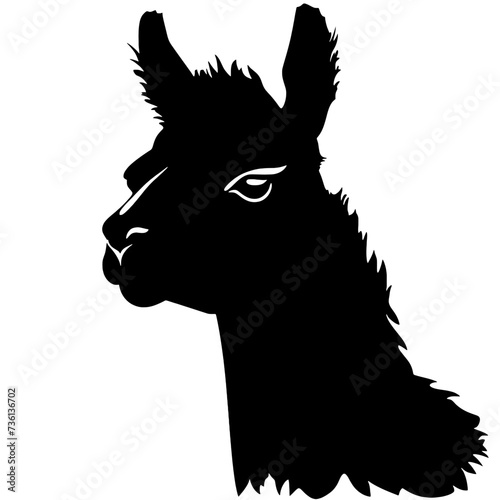 Llama silhouette