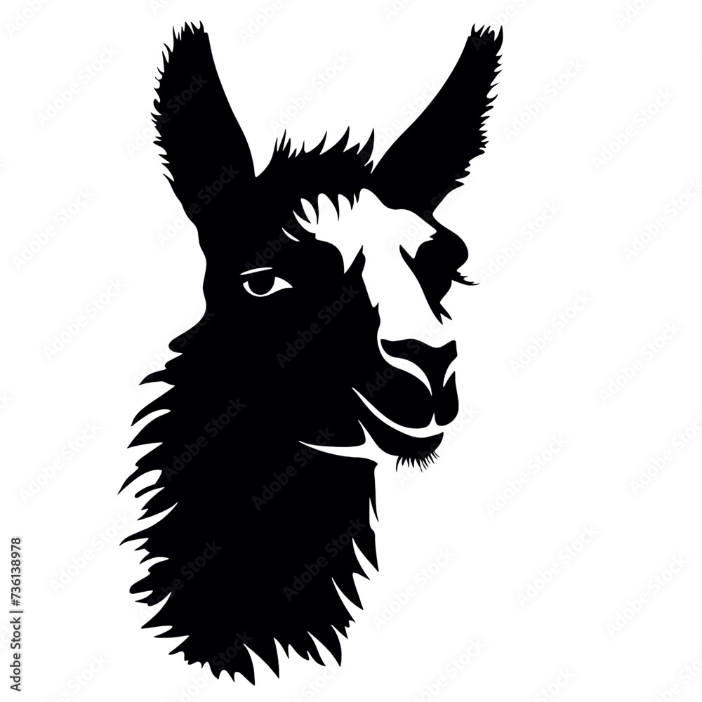 Obraz premium Llama silhouette