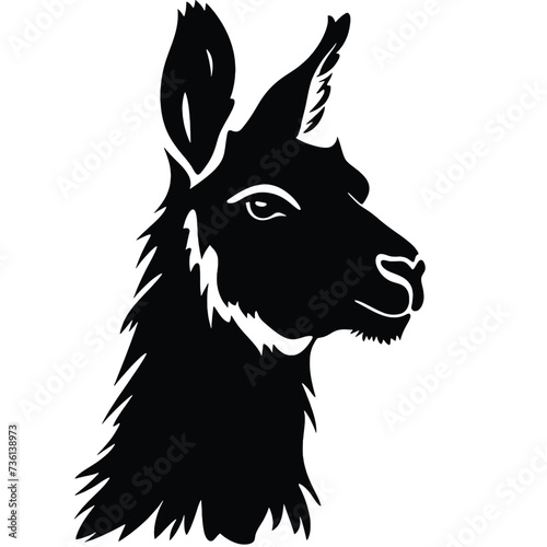 Llama silhouette © vectorcyan