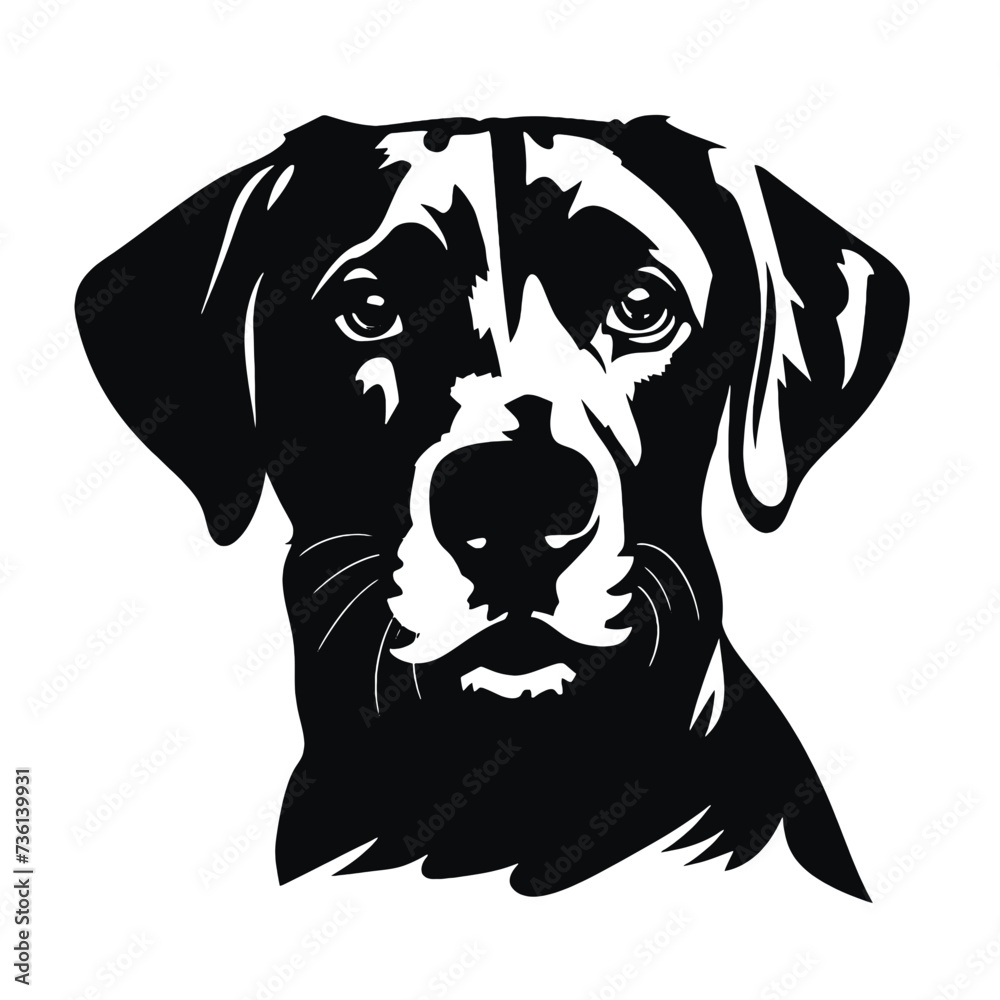 Fototapeta premium Labrador Dog silhouette