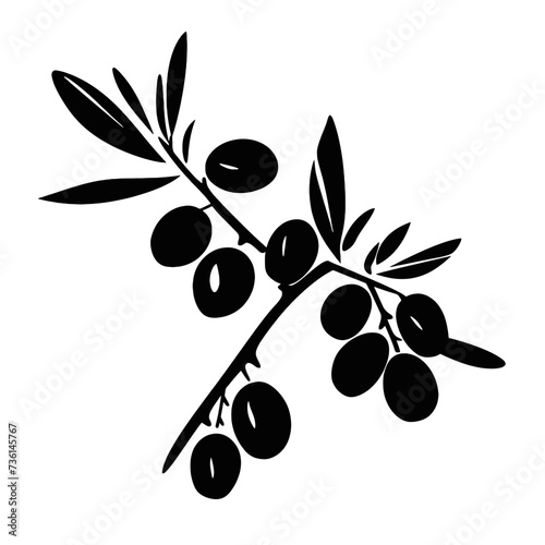 olive branch with olives