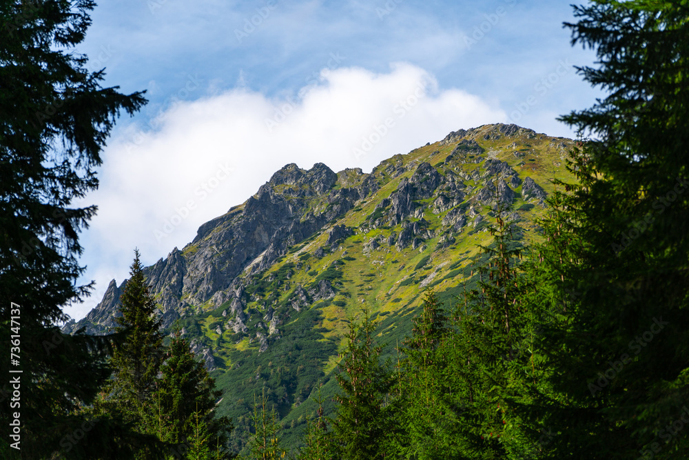 mountain view forest landscape Poland Zakopane mountain view forest landscape Poland Zakopane