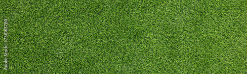 Fresh green grass as background outdoors, top view. Banner design
