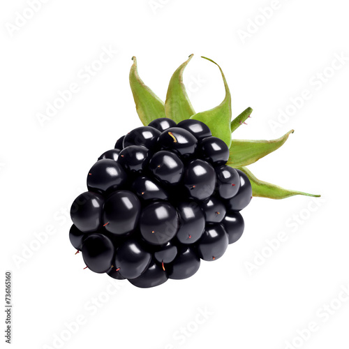 One tasty ripe blackberry isolated on white