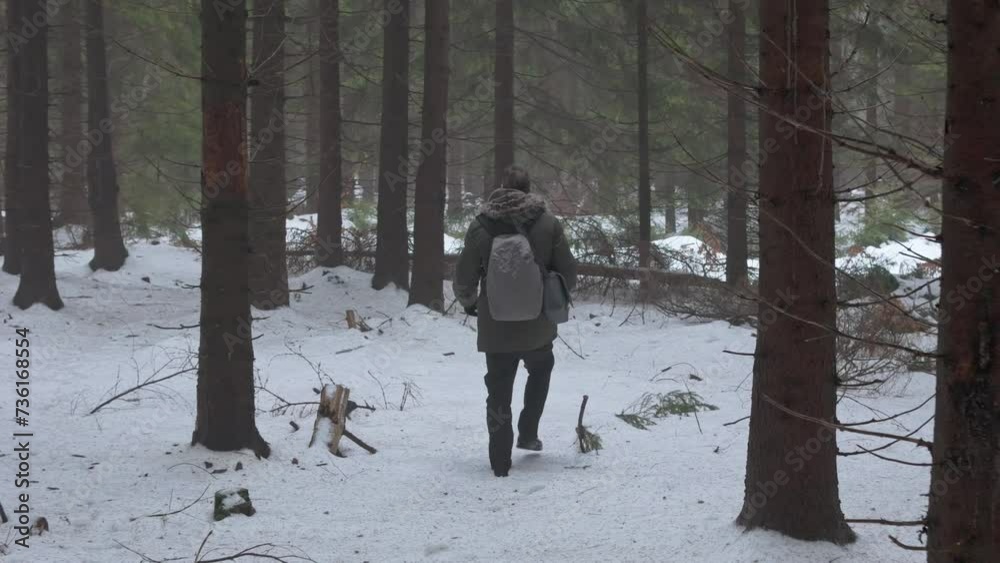Man in a puffy jacket embarks on a solitary walk through a snow-drenched forest, a drone capturing his every step from above. Man in a puffy jacket embarks on a solitary walk through a snow-drenched forest, a drone capturing his every step from above.