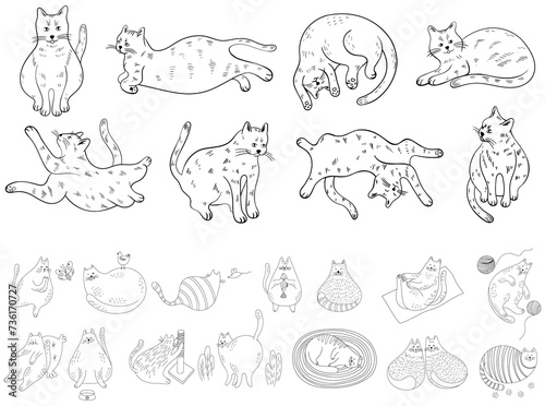 Set of cute cartoon cats different poses. Hand drawn illustration in doodle style isolate on white collection.