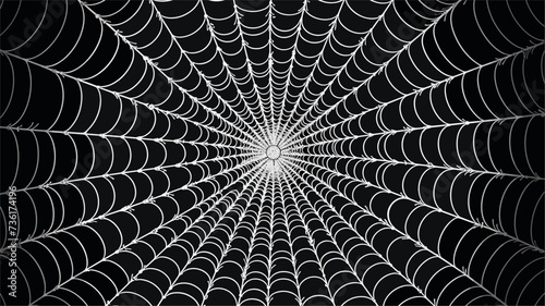 Abstract patterns forming a spider web  illustrating the intricacy and craftsmanship found in nature. simple Vector Illustration art simple minimalist illustration creative
