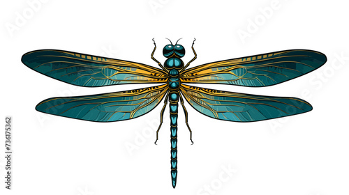 Dragonfly with delicate wings  portraying the grace and elegance of this insect in nature. simple Vector Illustration art simple minimalist illustration creative