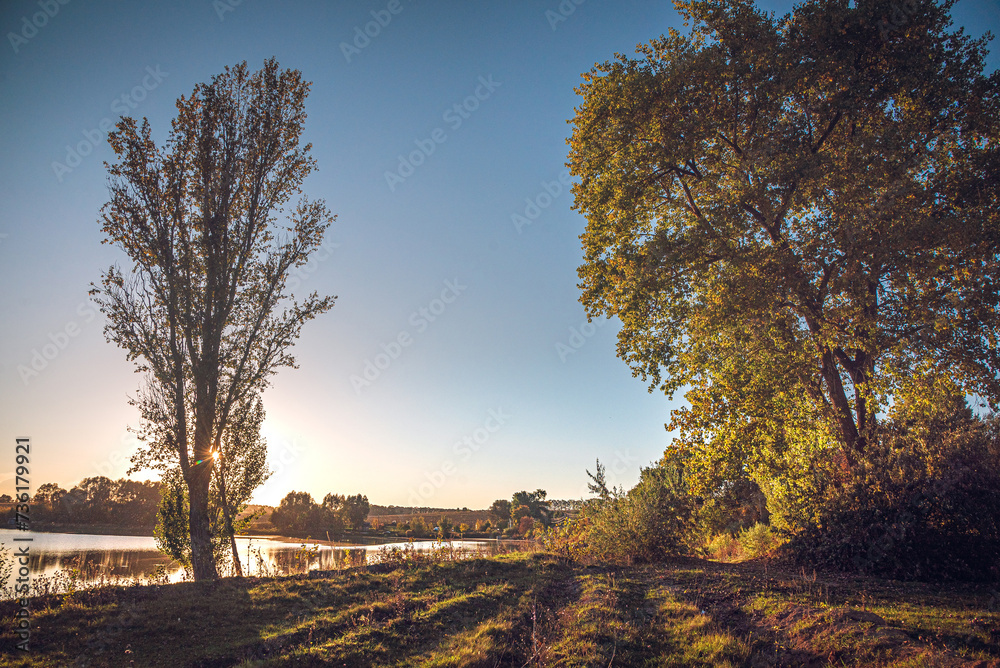 Obraz premium Summer evening landscape