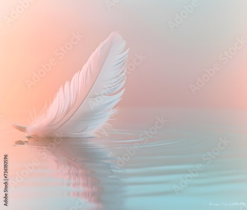 Serene Feather on Reflective Water Surface