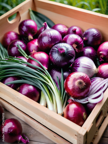 Red onion fresh in wooden crate, blurred plantation background.