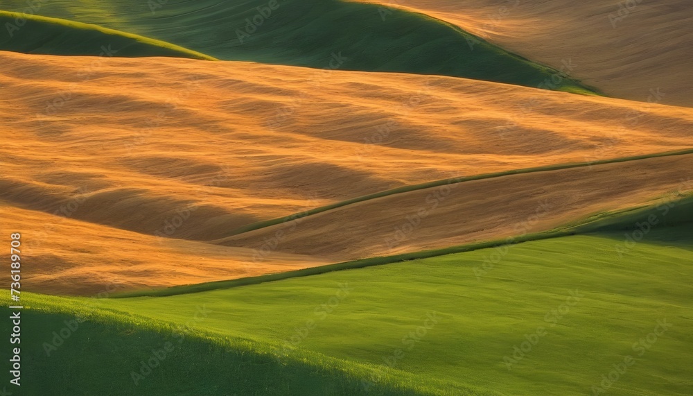 magical wheat farm fields in palouse washington