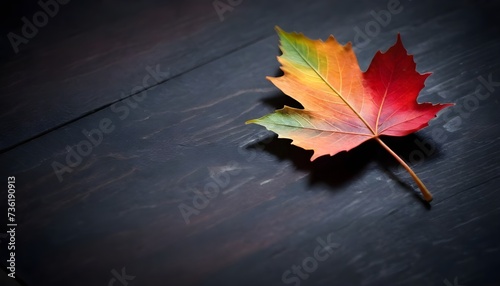  A multicolored leaf with red hues on a dark wooden surface
