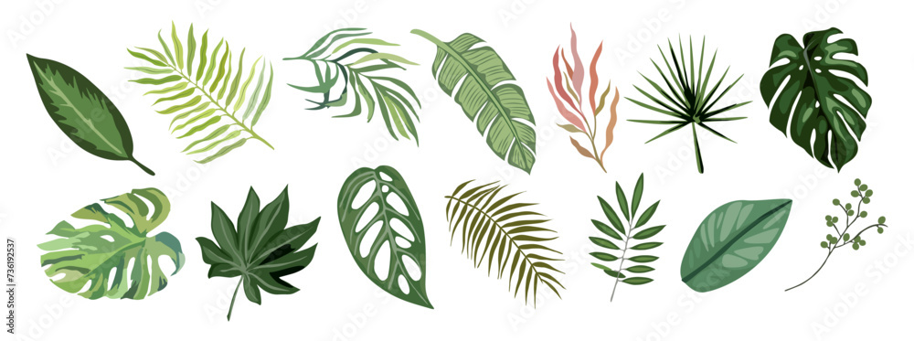 Tropical different type exotic leaves set. Jungle plants. Calathea, Monstera, banana, palm leaves. Cartoon realistic vector illustration isolated on transparent background. - obrazy, fototapety, plakaty 