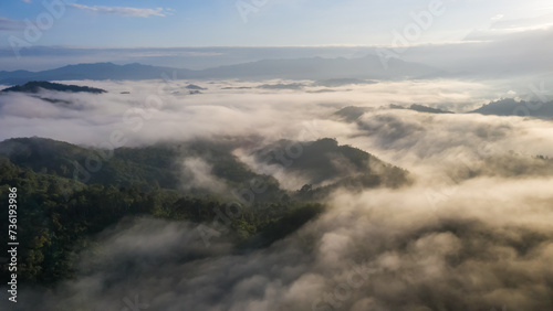 Aerial view of the Borneo rainforest.
