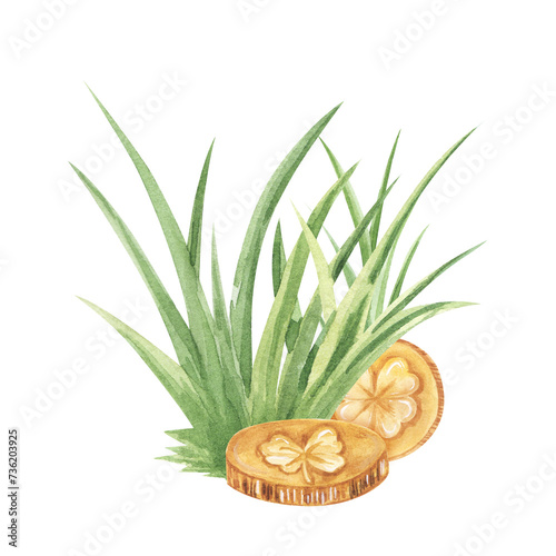 St. Patrick's coins in grass. Had drawn illustration isolated on white background. for design, flyers