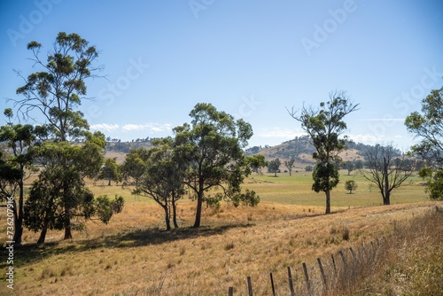 beautiful farming landscape in australia in summer