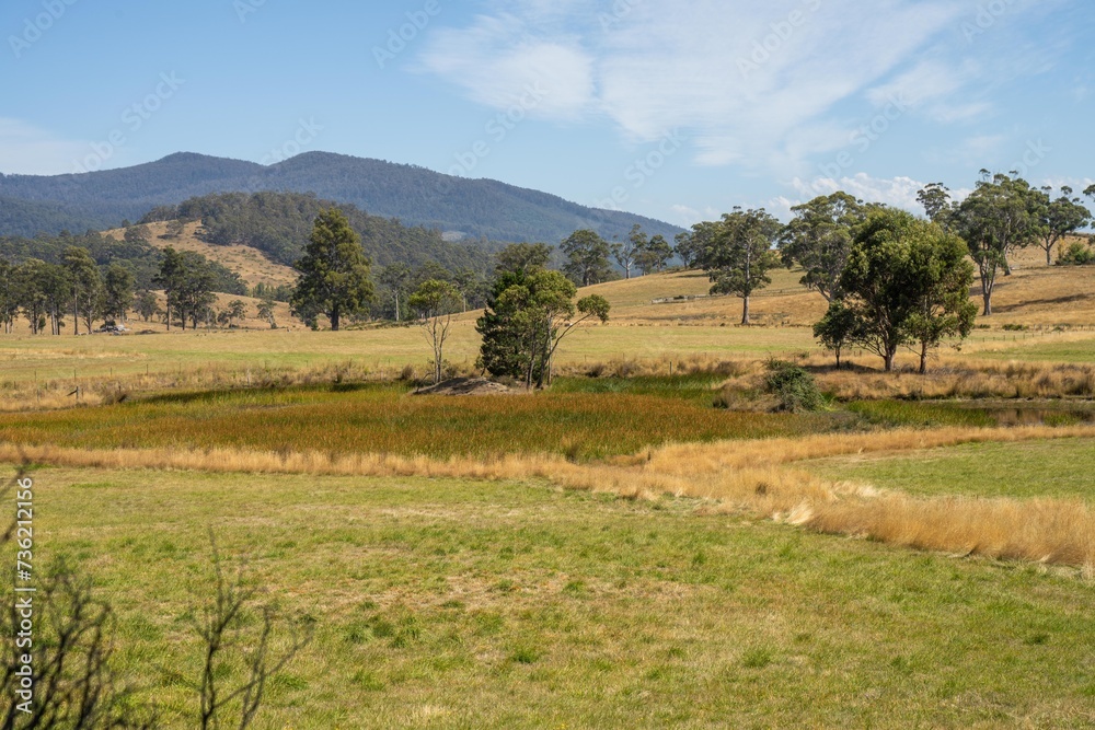 beautiful farming landscape in australia in summer