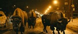 A majestic herd of bison gracefully strolling through a frosty urban environment