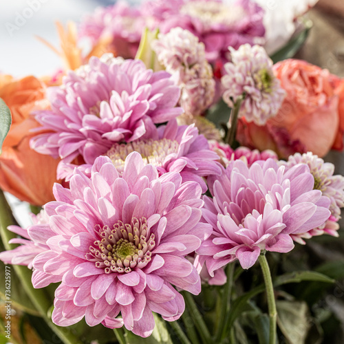 Close-up of a vibrant pink chrysanthemum highlighting its intricate petal structure and depth showcasing the natural beauty of autumn blooms