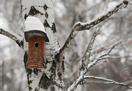Birdhouse for birds under the snow on a birch tree in winter. © Сергей Лаврищев