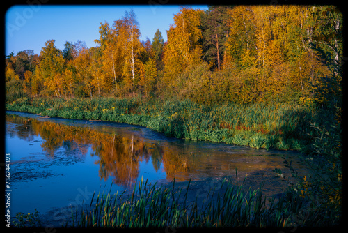 River bank with autumn forest . Trees on the shore of a reservoir on an autumn day.