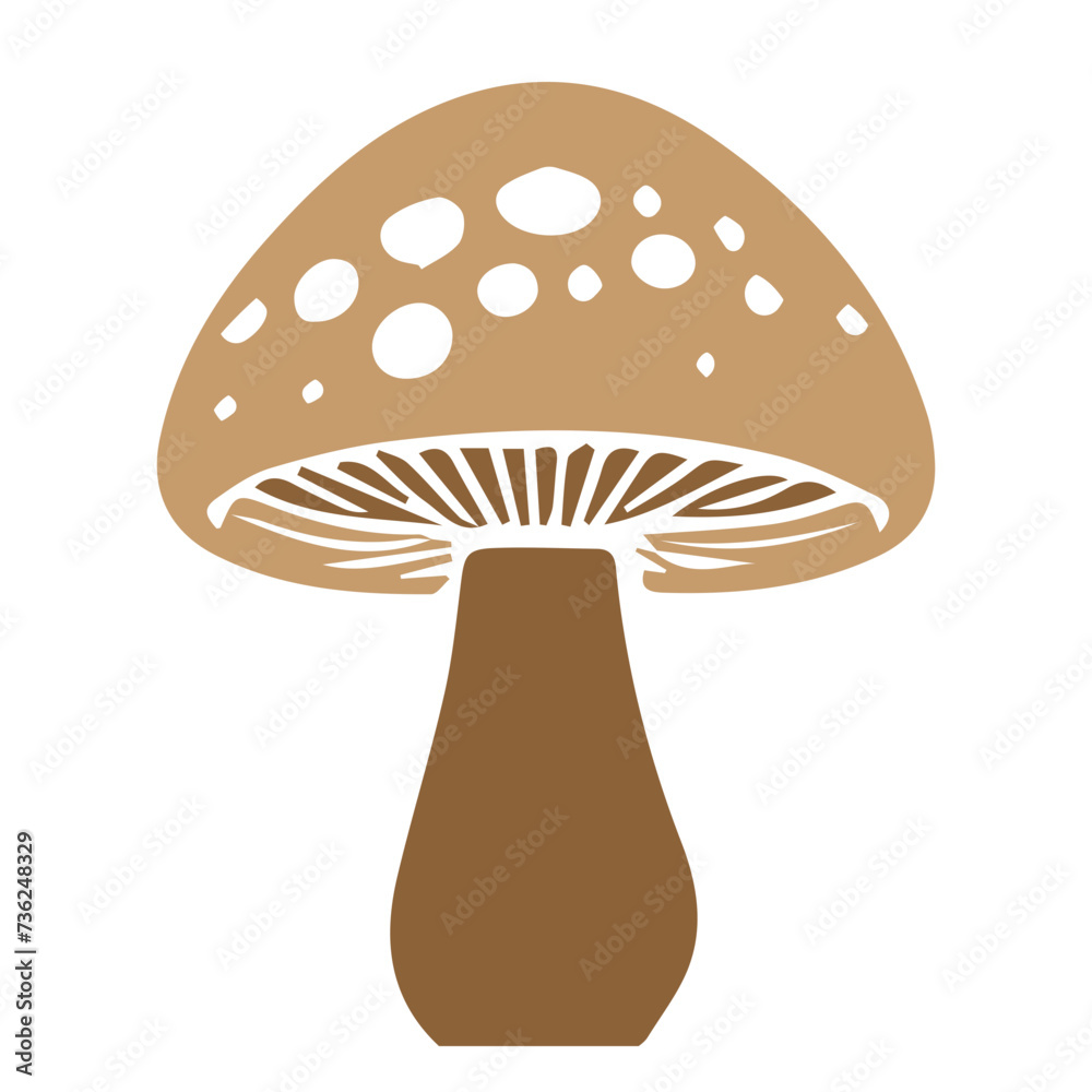 Mushroom and toadstool vector flat design Mushroom and toadstool vector flat design