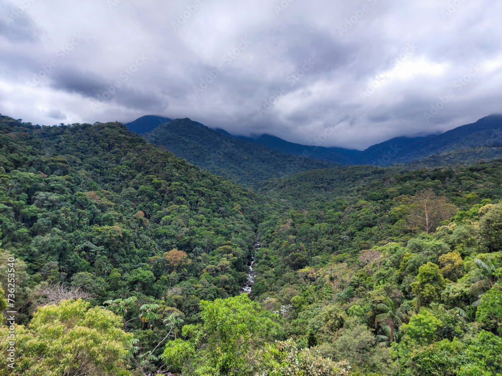 landscape with trees and clouds landscape with trees and clouds