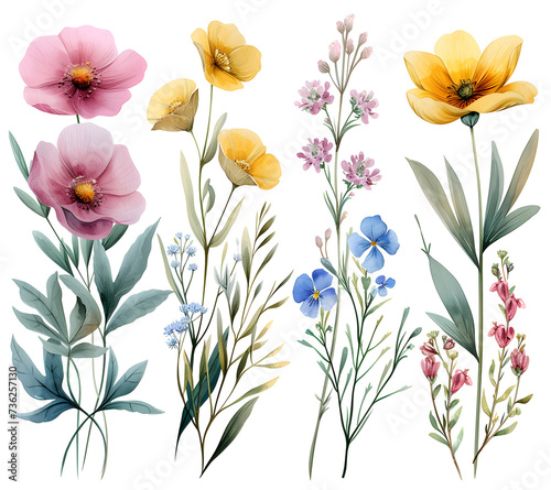 Watercolor botanical arrangements with garden flowers and wildflowers on a white background. Perfect for home decor  greeting cards  and events.