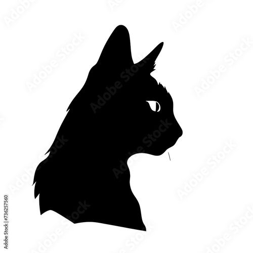 black cat silhouette 