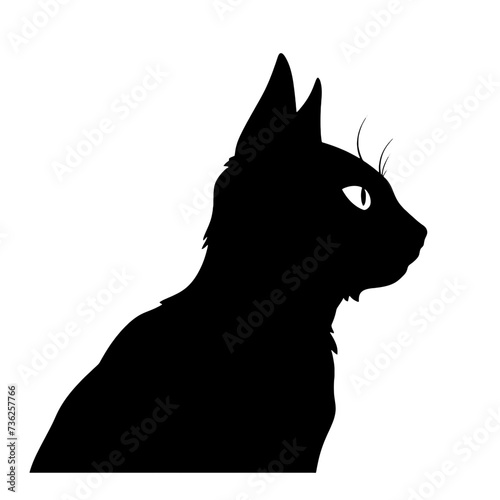 black cat silhouette 