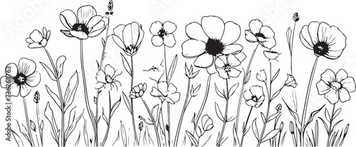 Group of Wildflowers, herbs, flowers, plants and butterflies flyng around. Outline Style Full Vector illustration photo