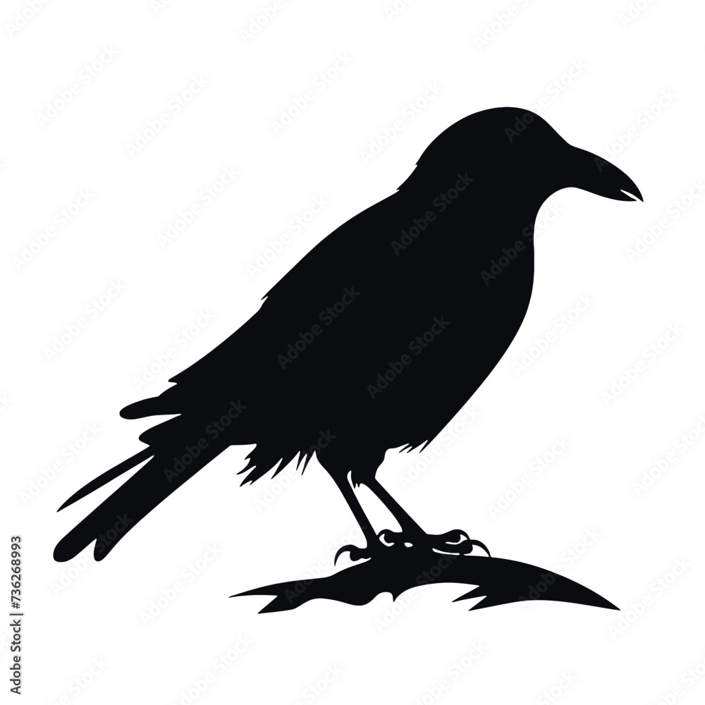 Obraz premium crow on a white background