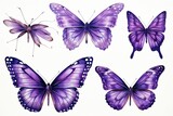 Watercolor colorful purple monarch butterfly illustration background