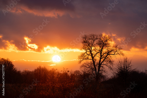 Landscape of setting sun above the horizon in countryside. Sun goes down  vibrant colours in clouds  silhouette of a big tree