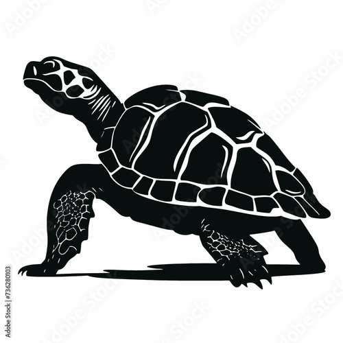  turtle icon silhouette 