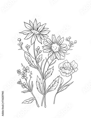 Wild flower botanical boquet sketc illustration photo