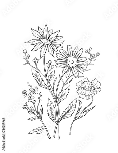 Wild flower botanical boquet sketc illustration