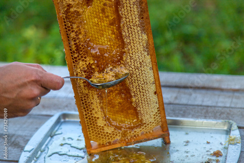 Remove honey from the honeycomb with a spoon. Selective focus.