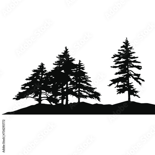 
forest silhouette 