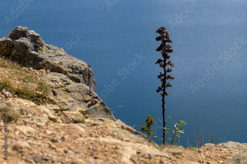 Laguna de tota-Boyaca,