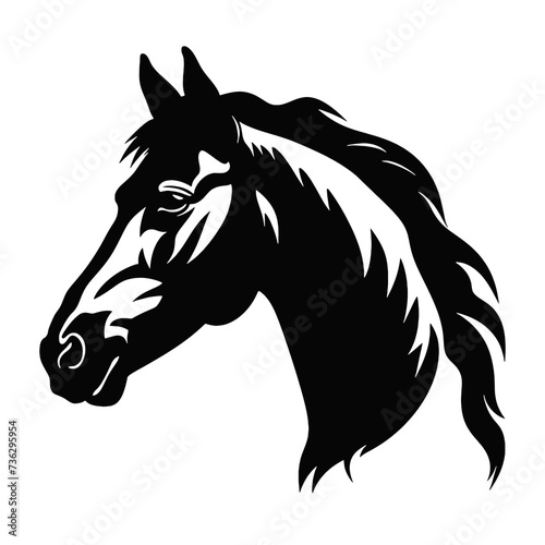 Fototapeta Naklejka Na Ścianę i Meble -  black horse silhouette
