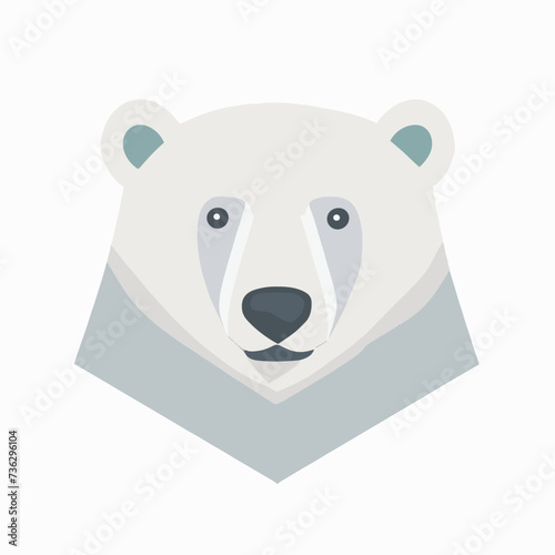 Polar bear on a white background