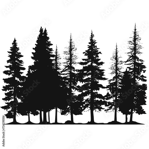 forest silhouette 