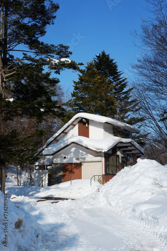 A house covered in snow.