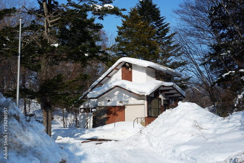 A house covered in snow.